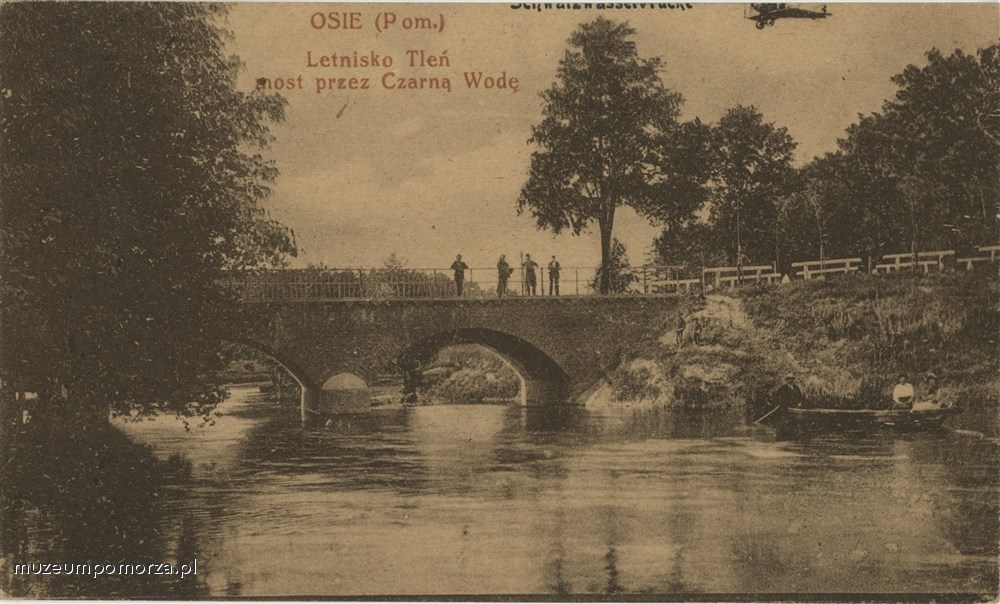 Tleń