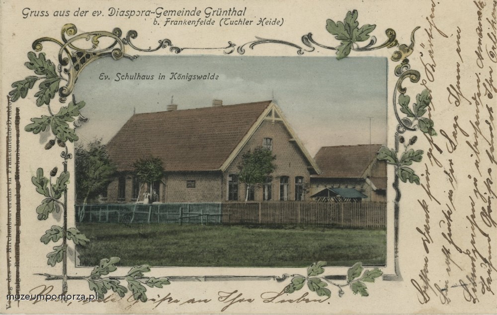 Cieciorka