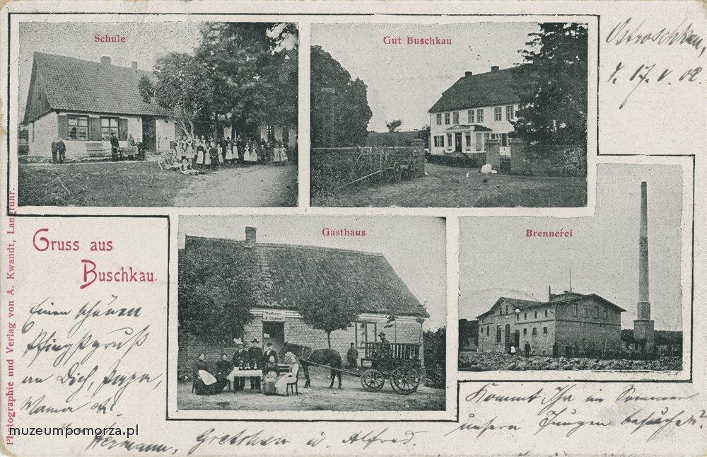 Buszkowy