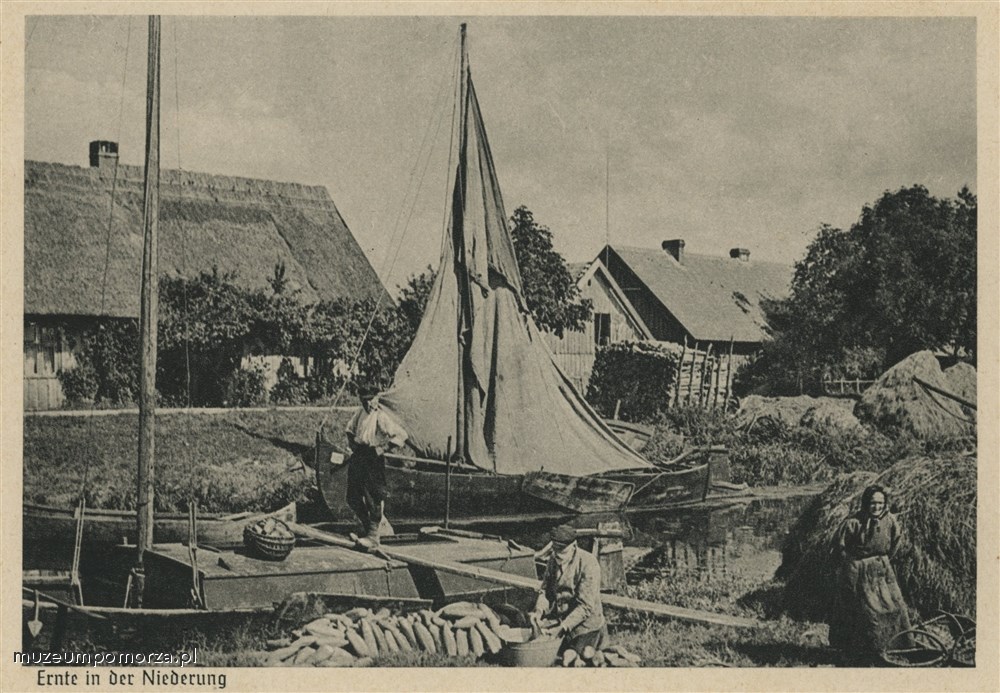 Żuławy