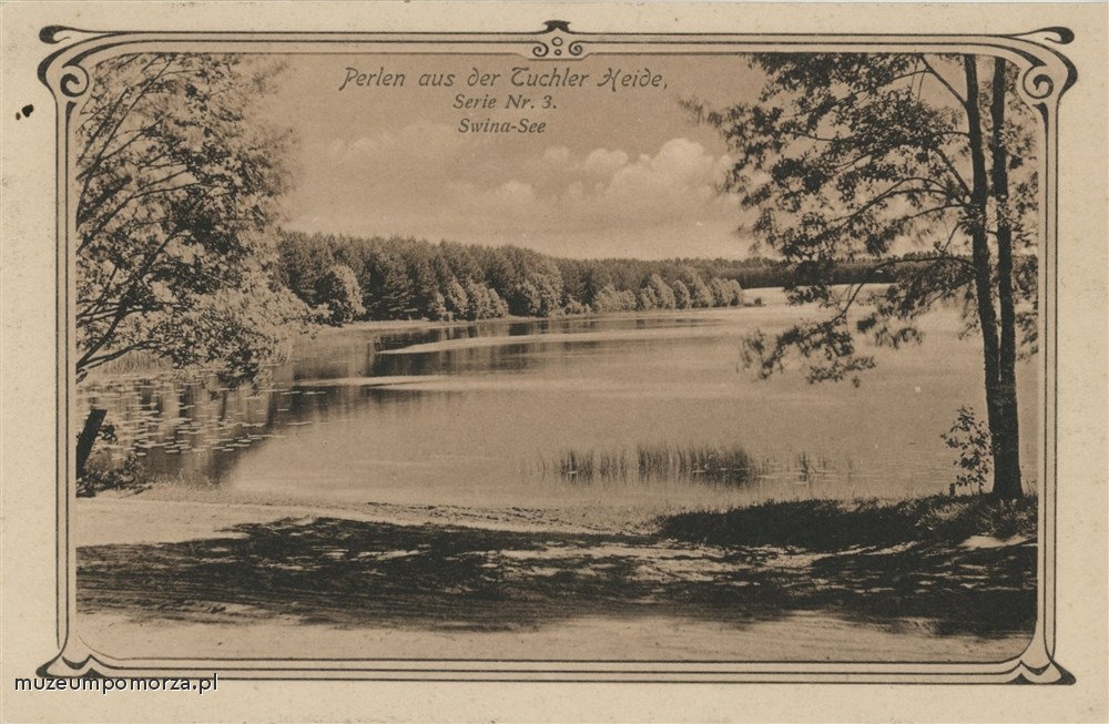 Bory Tucholskie