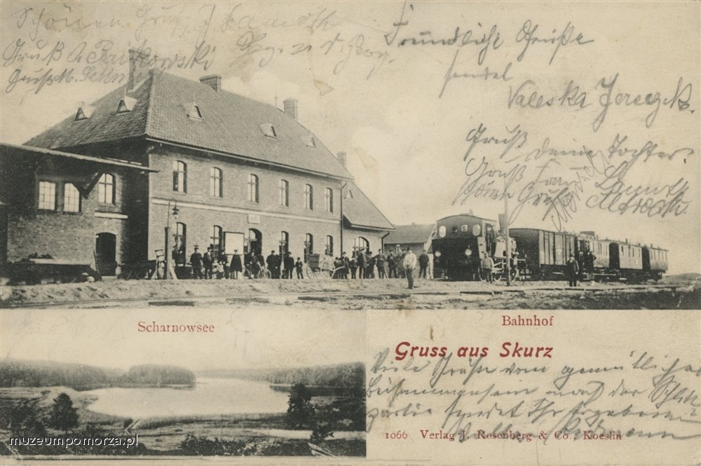 Skórcz