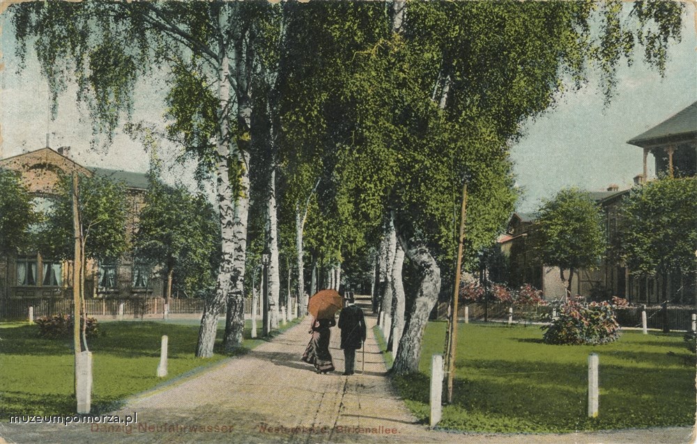 Gdańsk, aleja Brzozowa na Westerplatte