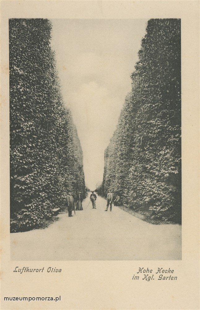Oliwa, Widok Książęcy