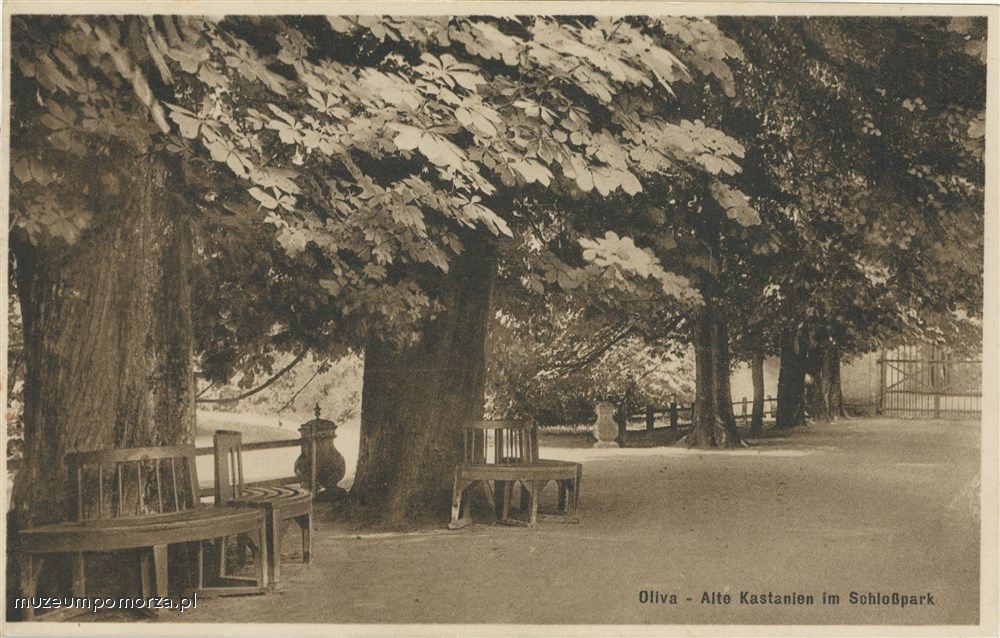 Gdańsk - Oliwa, Park Oliwski im. Adama Mickiewicza 