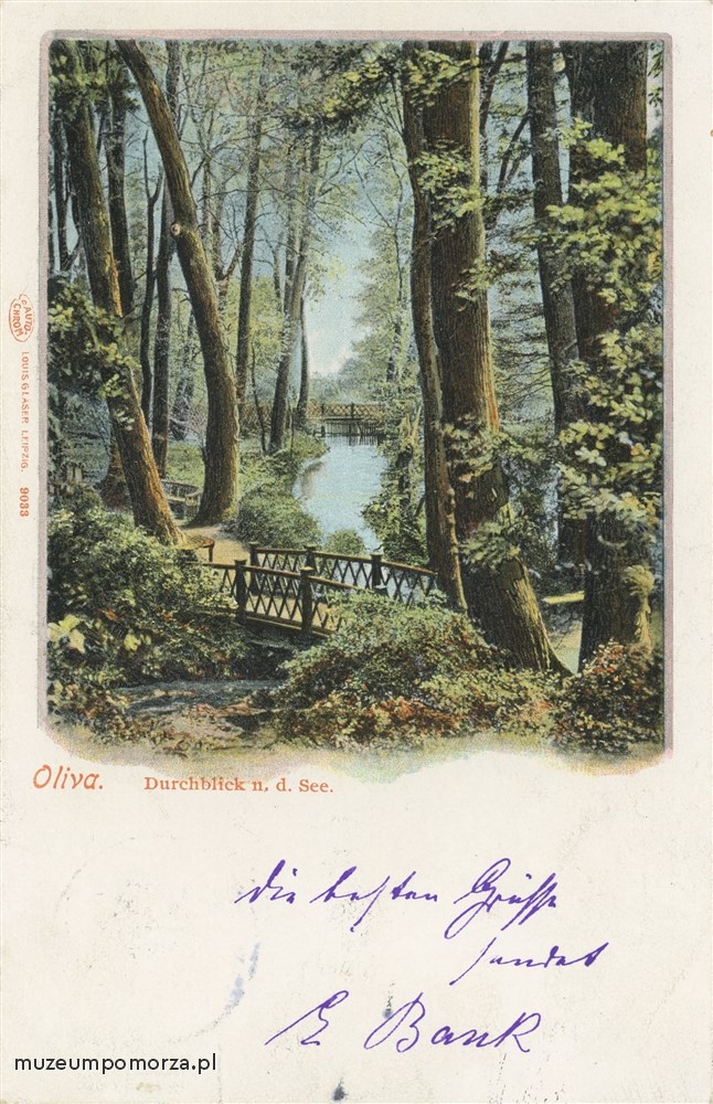 Gdańsk - Oliwa, widok na jezioro.