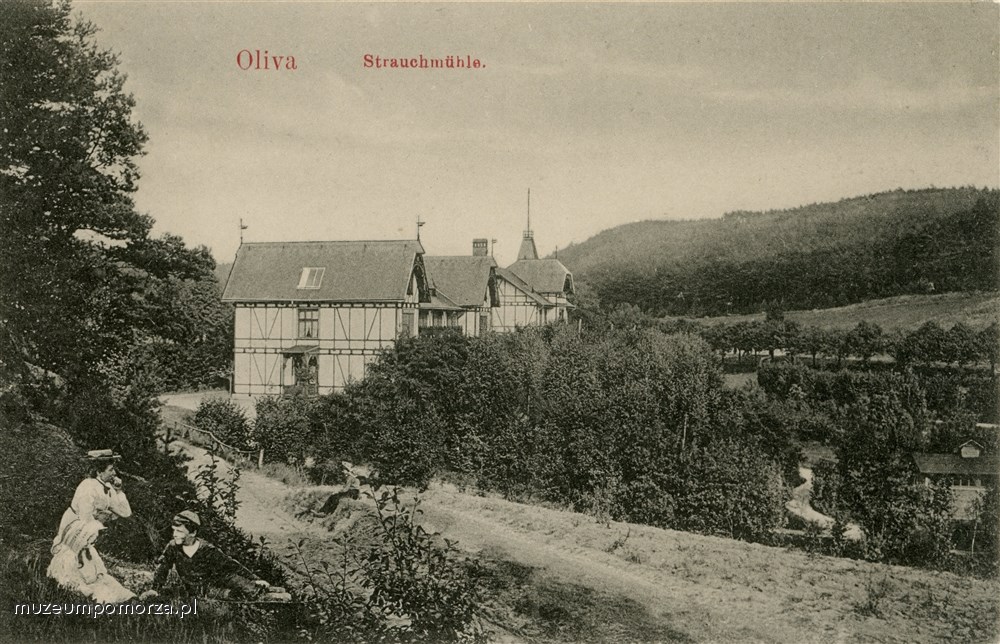 Gdańsk - Oliwa, Leśny (Krzaczasty Młyn)