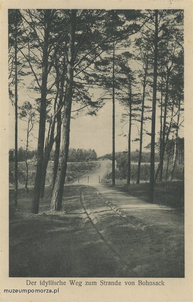 Sobieszewo, ścieżka na plaże