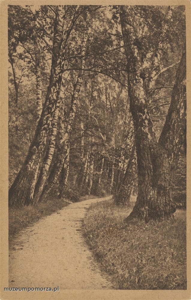 Gdańsk - Orunia, Park Oruński (Hoene - Park)