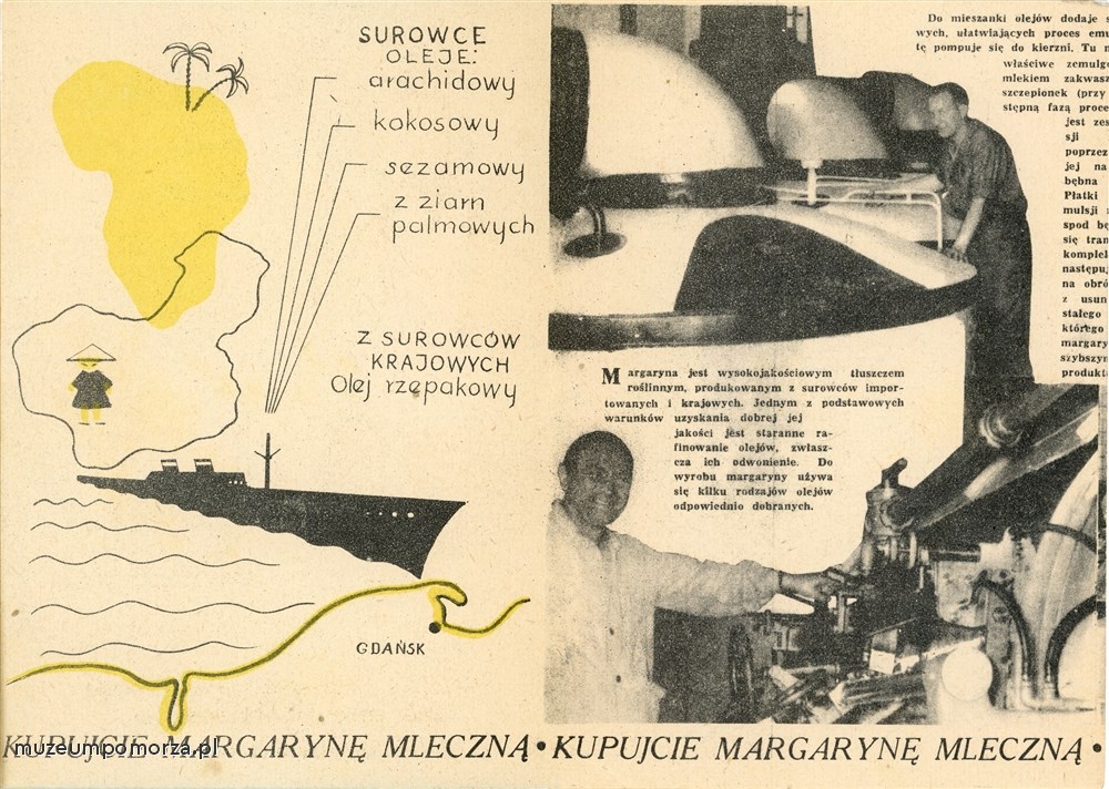 Wnętrze folderu reklamującego margarynę