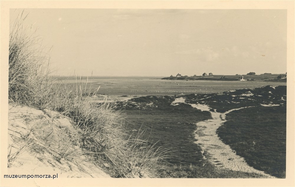 Brak tytułu