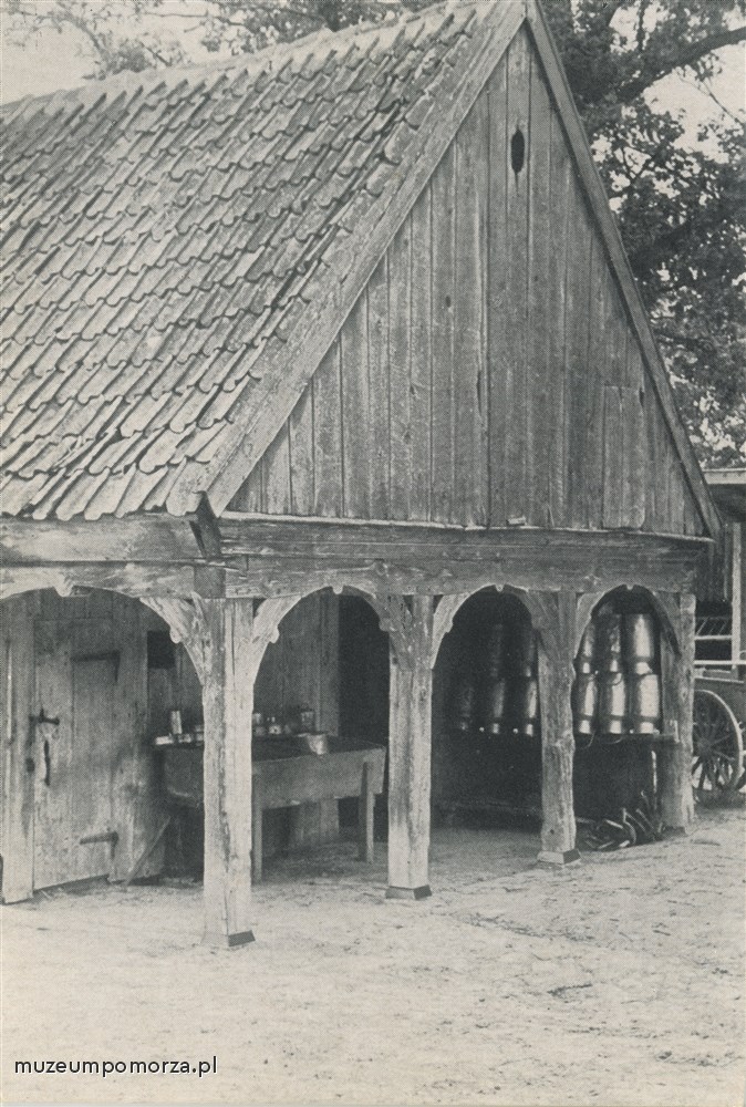Tuja