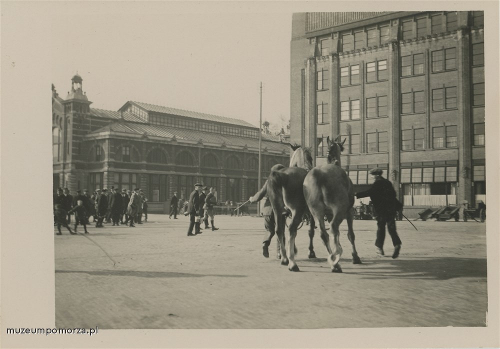 Brak tytułu
