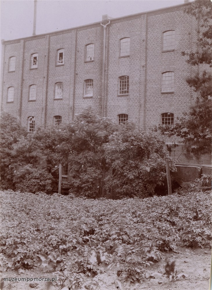 Brak tytułu