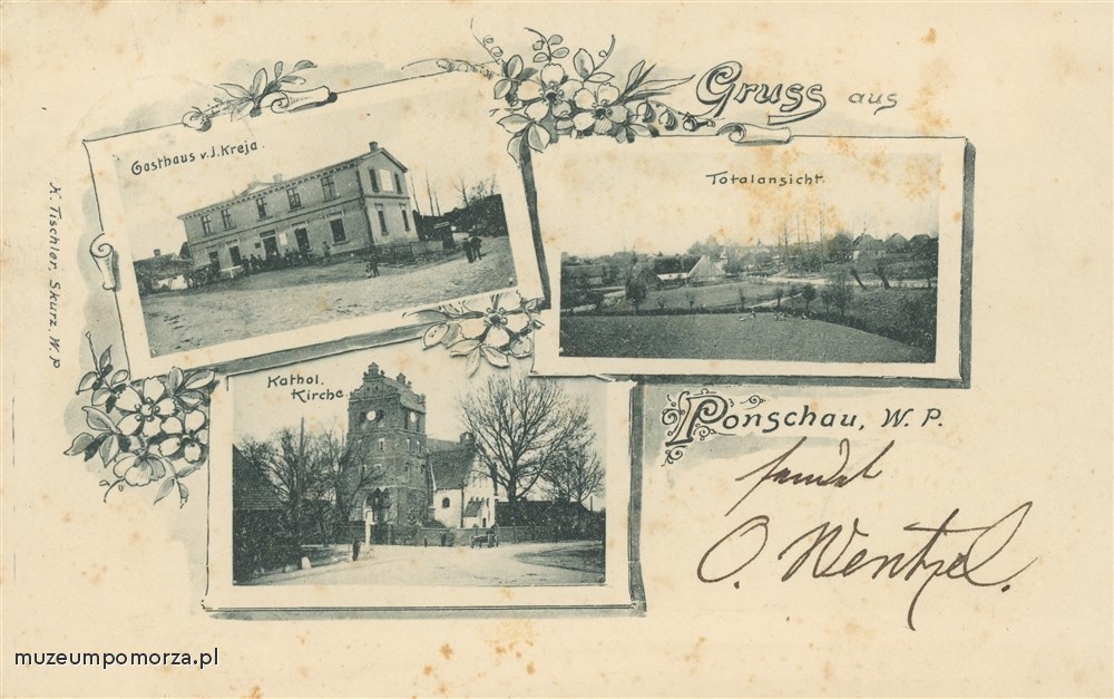 Pączewo  Ponschau
