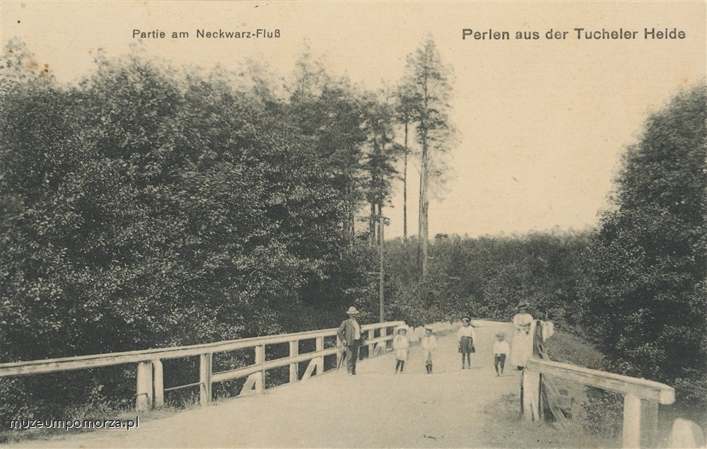 Niechwaszcz - dopływ Wdy, Bory Tucholskie