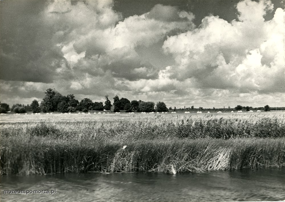 Żuławy