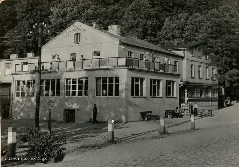 Tleń