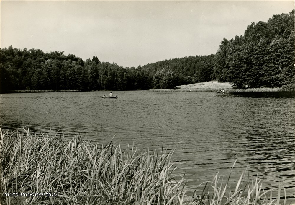 Bory Tucholskie