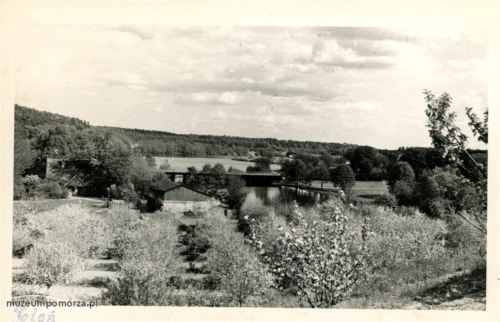 Tleń