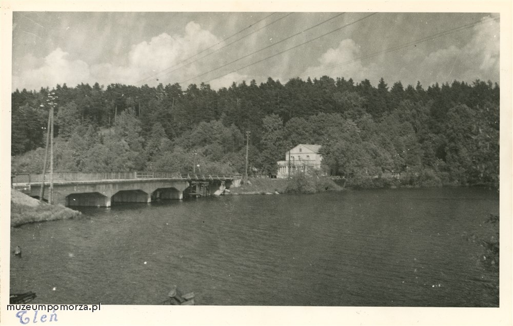 Tleń