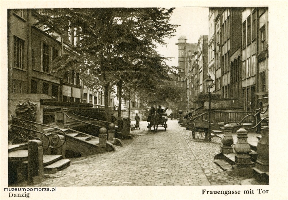 Brak tytułu